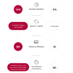 Infografica Regime Minimi vs Regime Forfetario